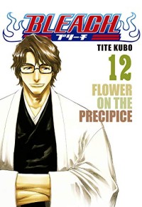 Image of Bleach 12: Flower on the Precipice