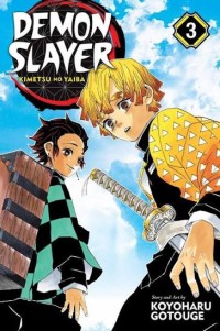 Image of DEMON SLAYER - KIMETSU NO YAIBA 3